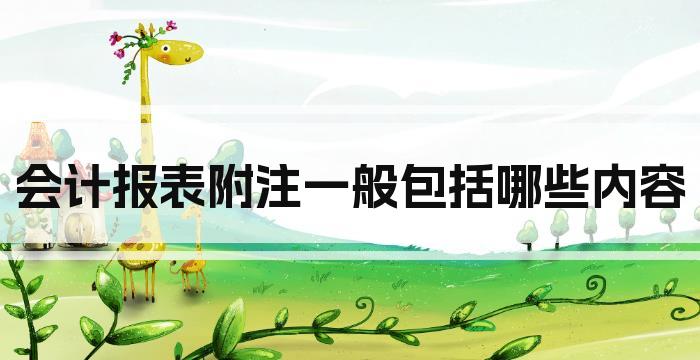 会计报表附注一般包括哪些内容