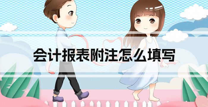 会计报表附注怎么填写