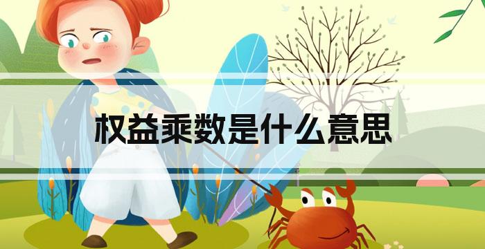 权益乘数是什么意思