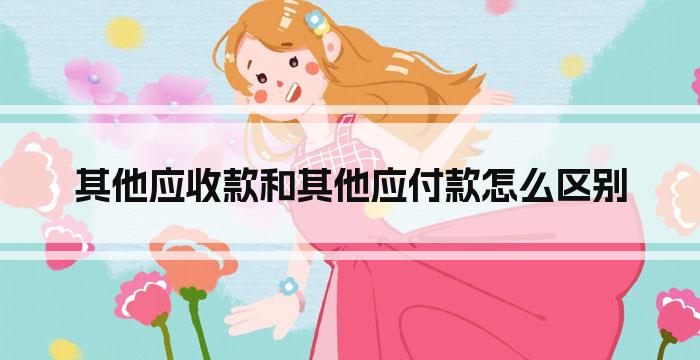其他应收款和其他应付款怎么区别
