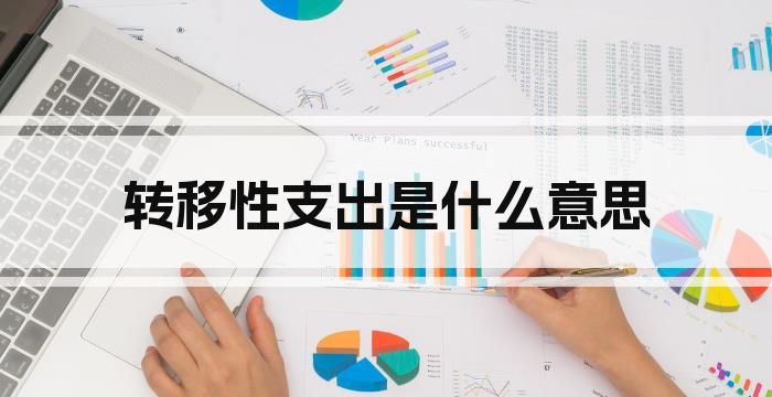 转移性支出是什么意思