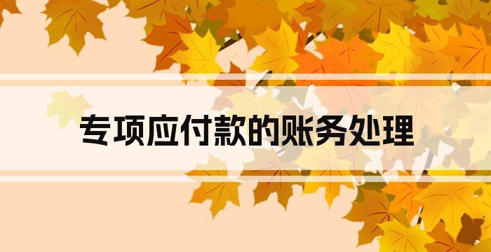 专项应付款的账务处理