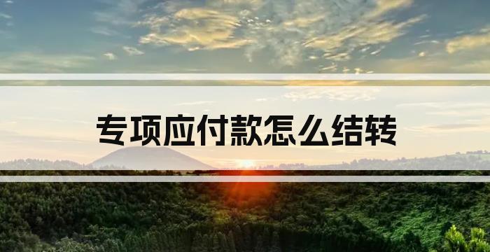 专项应付款怎么结转