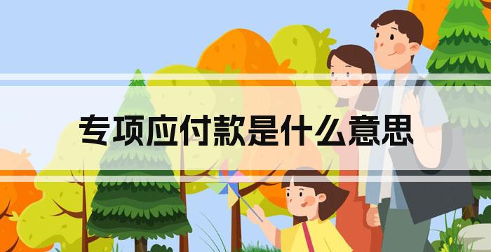 专项应付款是什么意思