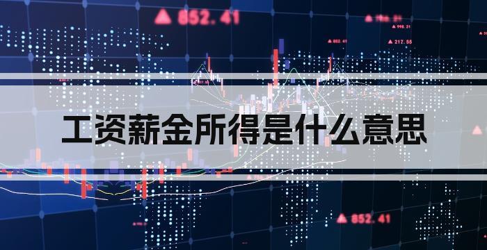工资薪金所得是什么意思