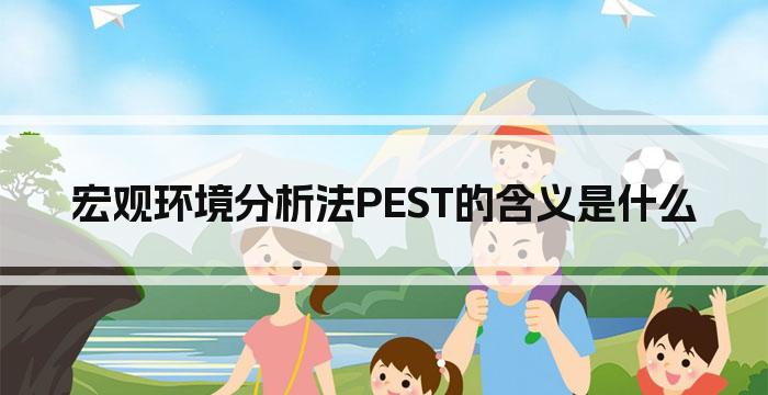 宏观环境分析法PEST的含义是什么