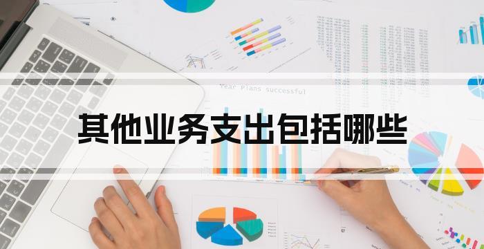 其他业务支出包括哪些