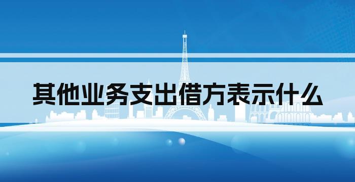 其他业务支出借方表示什么