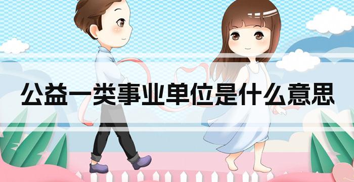 公益一类事业单位是什么意思