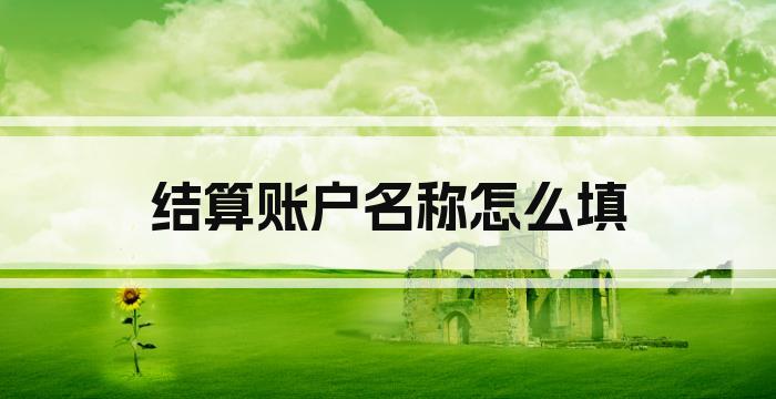 结算账户名称怎么填