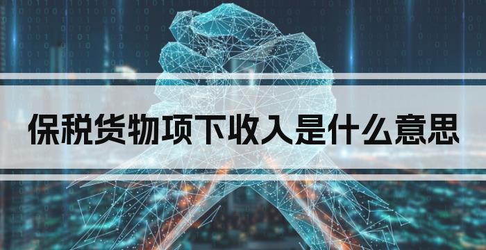 保税货物项下收入是什么意思