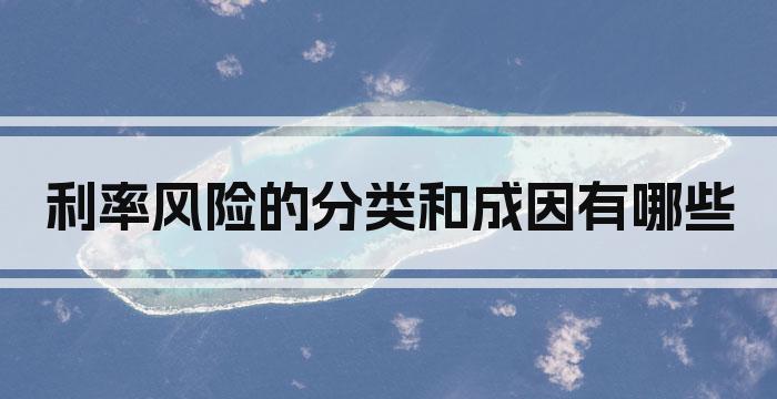 利率风险的分类和成因有哪些