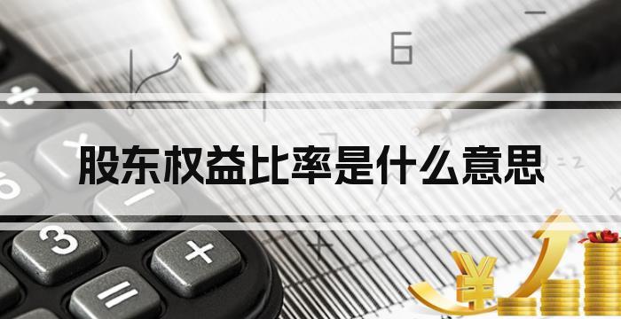 股东权益比率是什么意思