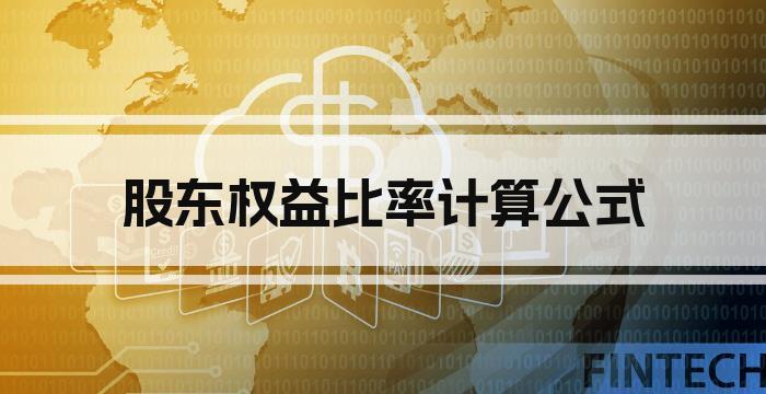 股东权益比率计算公式