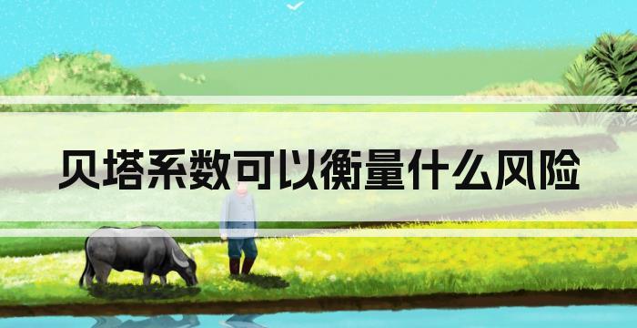贝塔系数可以衡量什么风险