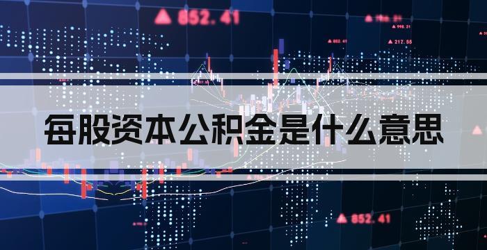 每股资本公积金是什么意思