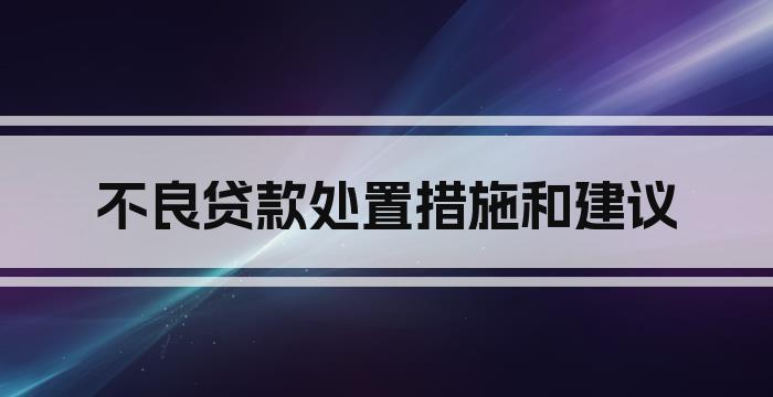 不良贷款处置措施和建议