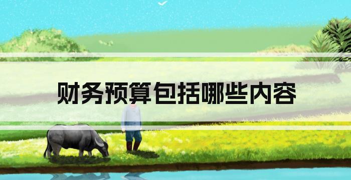 财务预算包括哪些内容