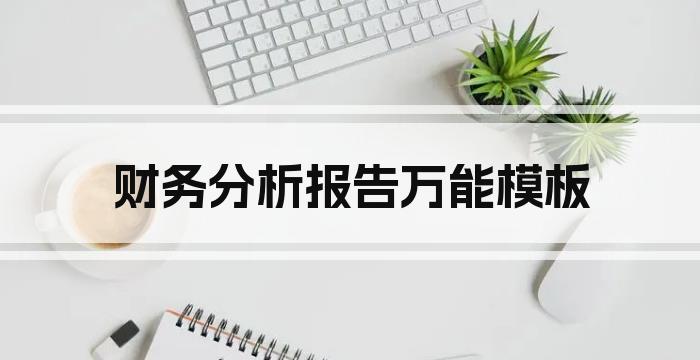 财务分析报告万能模板