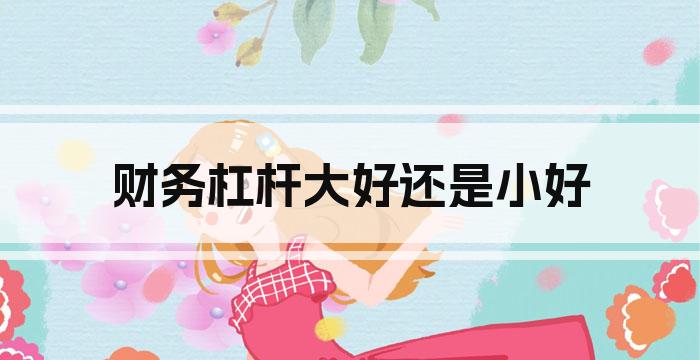 财务杠杆大好还是小好