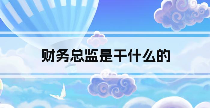 财务总监是干什么的