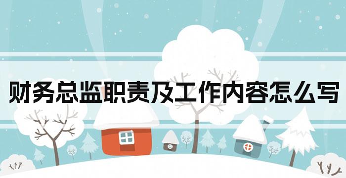 财务总监职责及工作内容怎么写