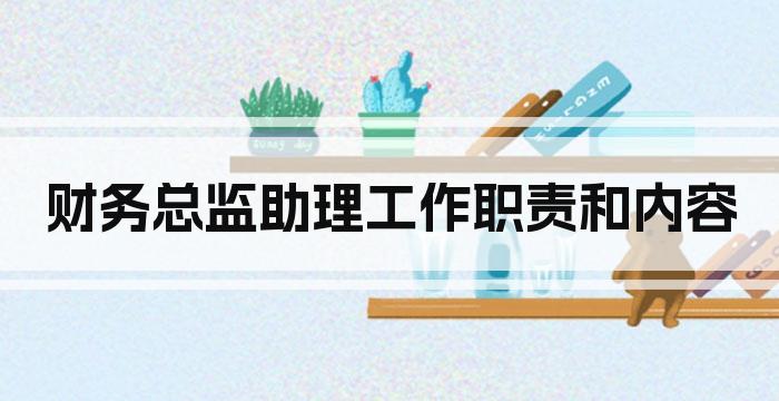 财务总监助理工作职责和内容
