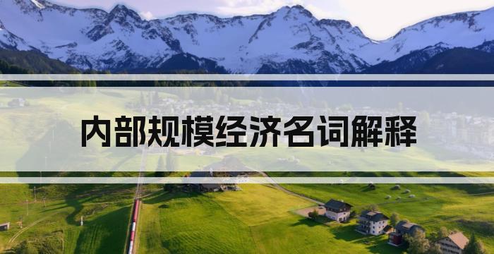 内部规模经济名词解释
