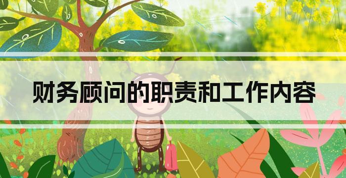 财务顾问的职责和工作内容
