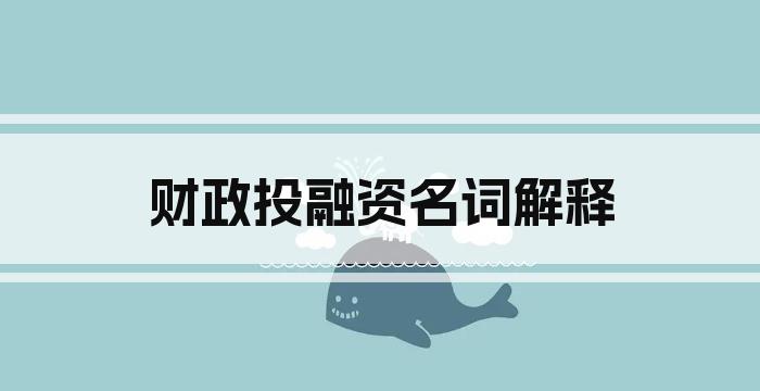 财政投融资名词解释