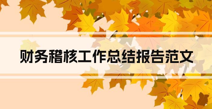 财务稽核工作总结报告范文