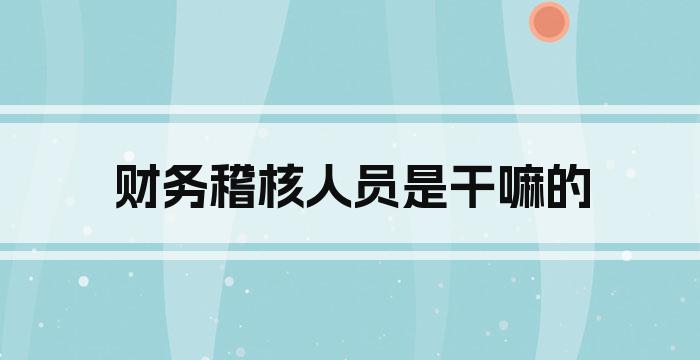 财务稽核人员是干嘛的