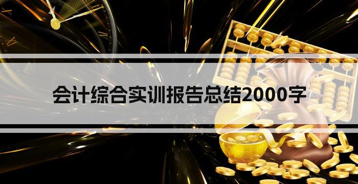 会计综合实训报告总结2000字