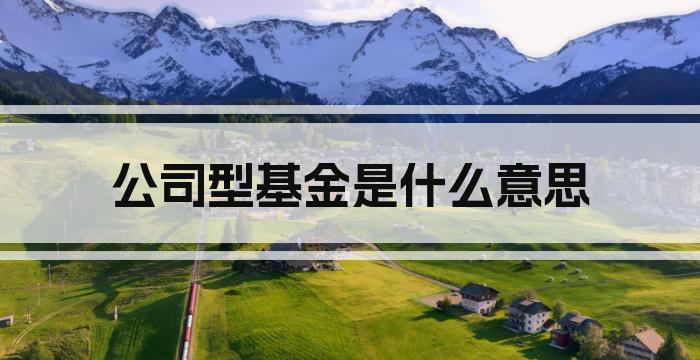 公司型基金是什么意思