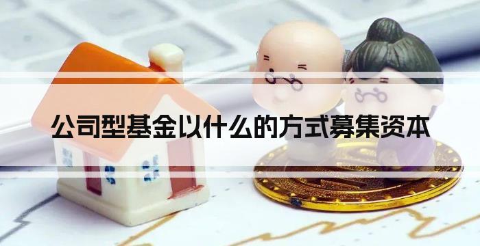 公司型基金以什么的方式募集资本