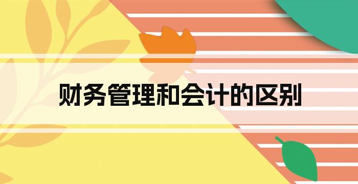 财务管理和会计的区别