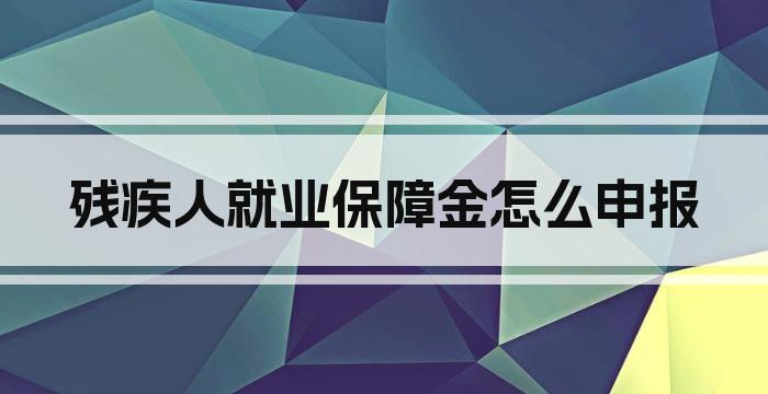残疾人就业保障金怎么申报