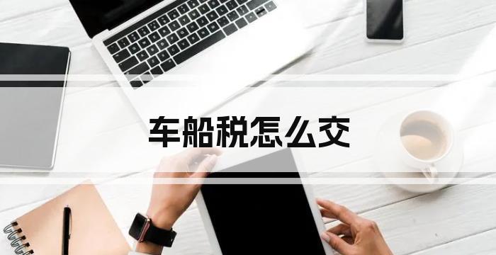车船税怎么交