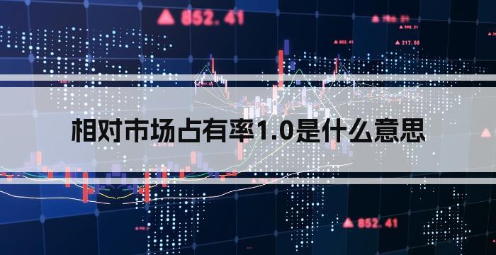 相对市场占有率1.0是什么意思