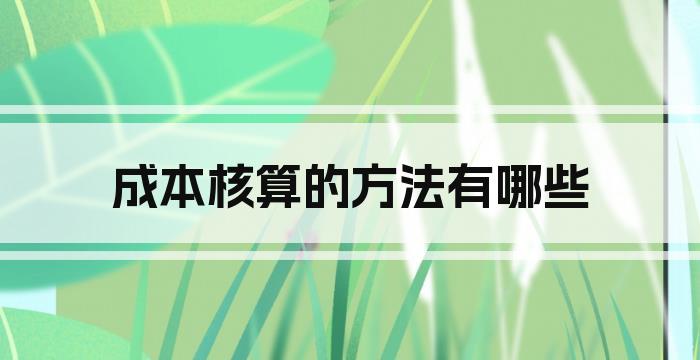 成本核算的方法有哪些