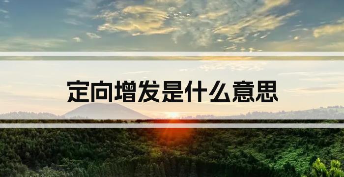 定向增发是什么意思