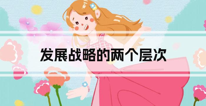 发展战略的两个层次