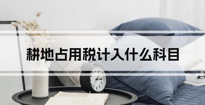 耕地占用税计入什么科目