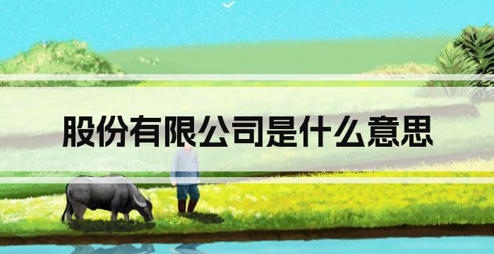 股份有限公司是什么意思