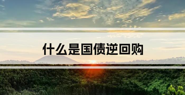什么是国债逆回购