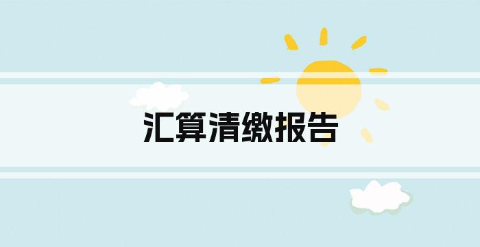 汇算清缴报告