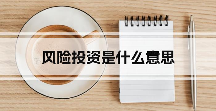 风险投资是什么意思