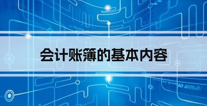 会计账簿的基本内容