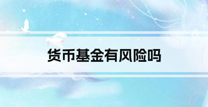 货币基金有风险吗