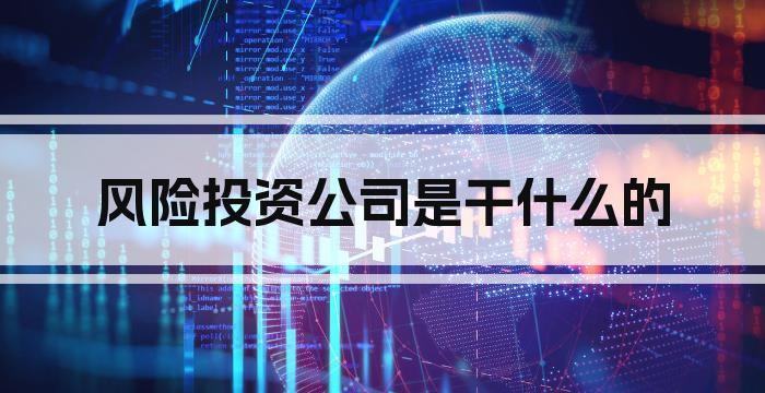 风险投资公司是干什么的
